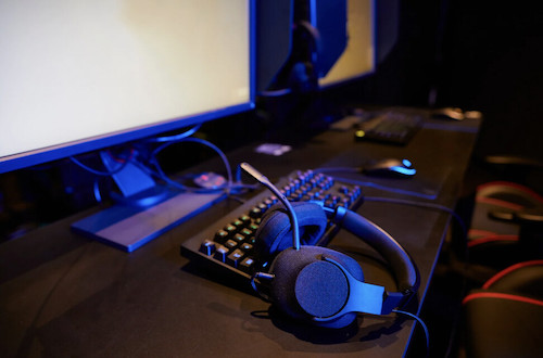 今後の展望とキャリアの可能性